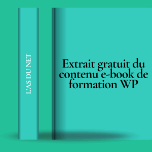 Extrait e-book GRATUIT