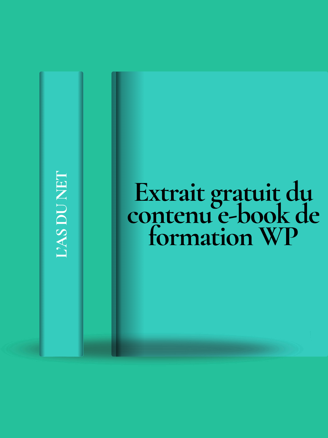 Extrait e-book GRATUIT